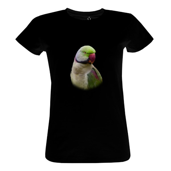 Tričko s potiskem Alexandr vousatý