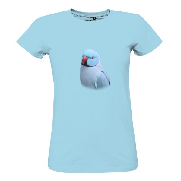 Tričko s potiskem Alexandr malý