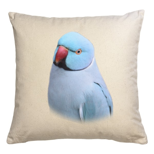 Polštář bavlněný  s potiskem Alexandr malý