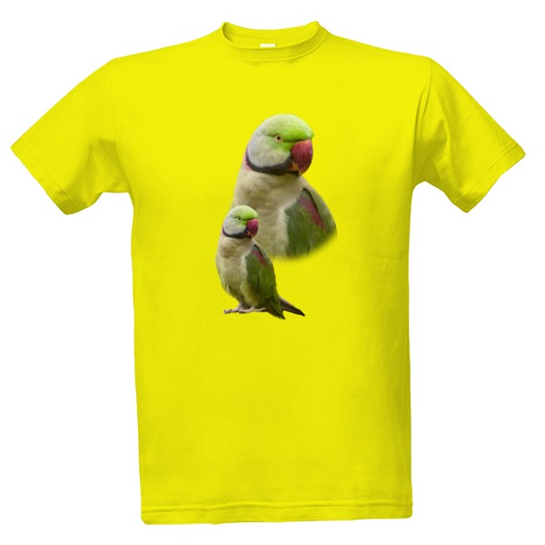 Tričko s potiskem Alexandr vousatý