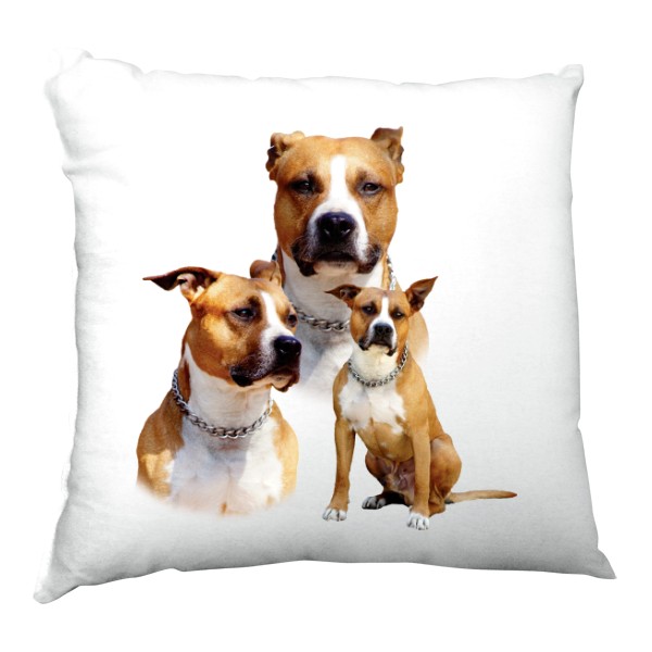 Polštář saténový s potiskem Americký stafordšírský teriér 