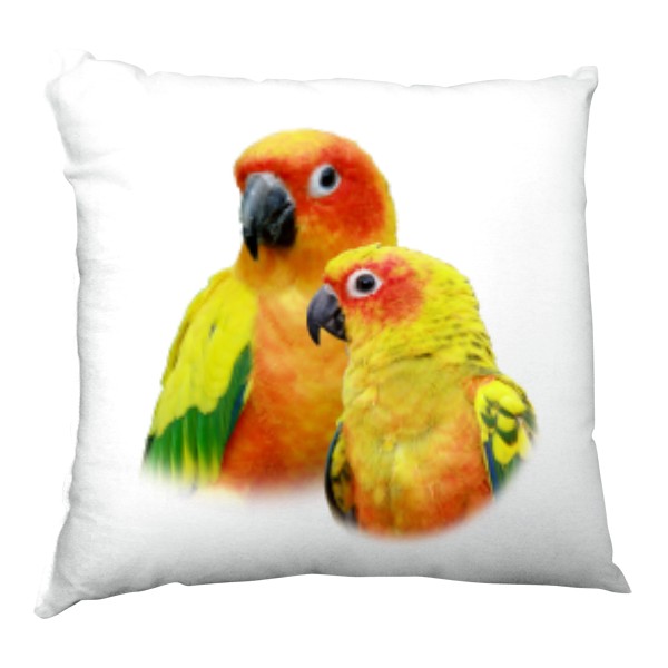 Polštář saténový s potiskem Aratinga sluneční