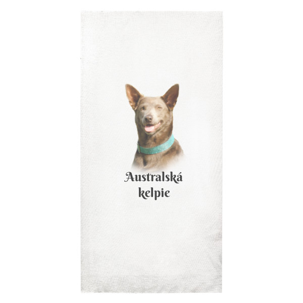 Australská kelpie