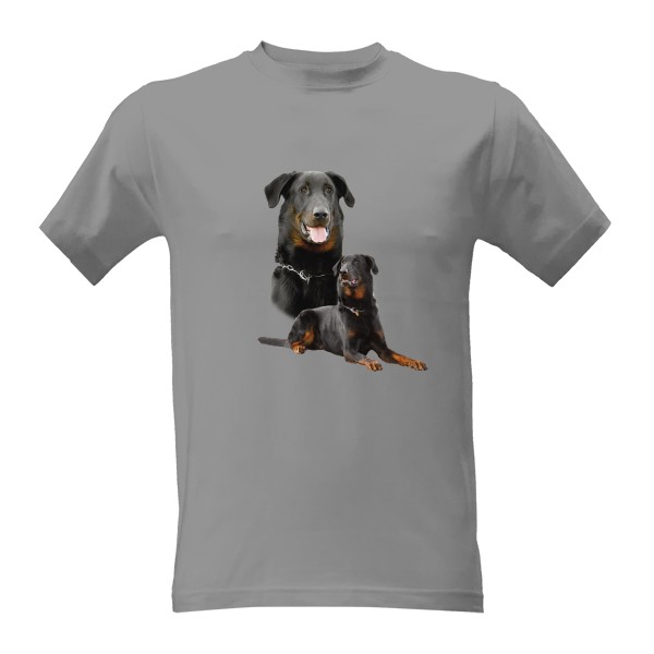 Tričko s potiskem Bauceron