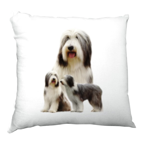 Polštář saténový s potiskem Bearded kolie