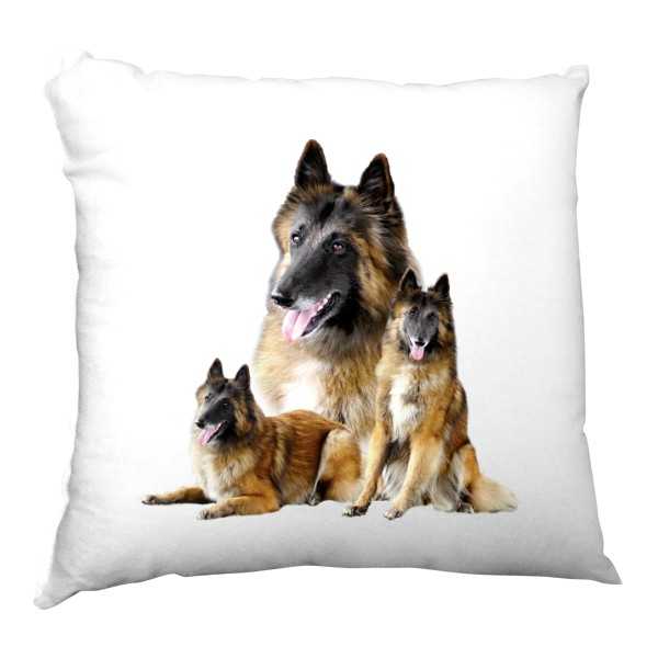 Polštář saténový s potiskem Belgický ovčák 