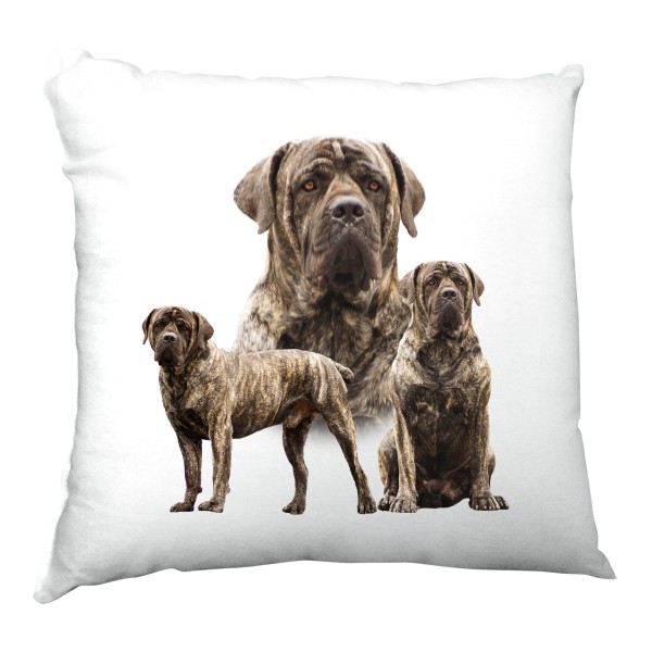 Polštář saténový s potiskem  Boerboel 