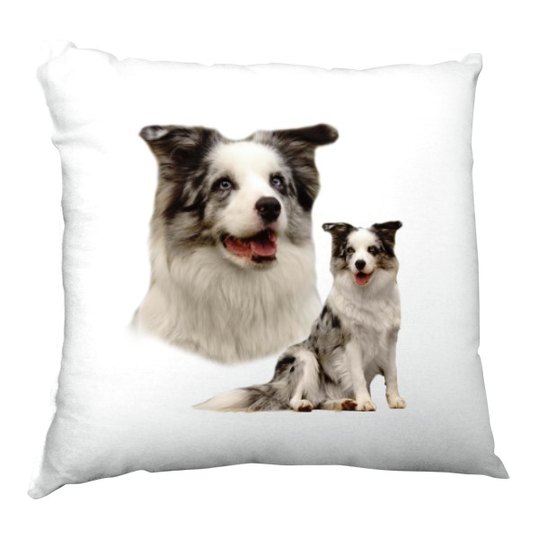 Polštář saténový s potiskem Border kolie 