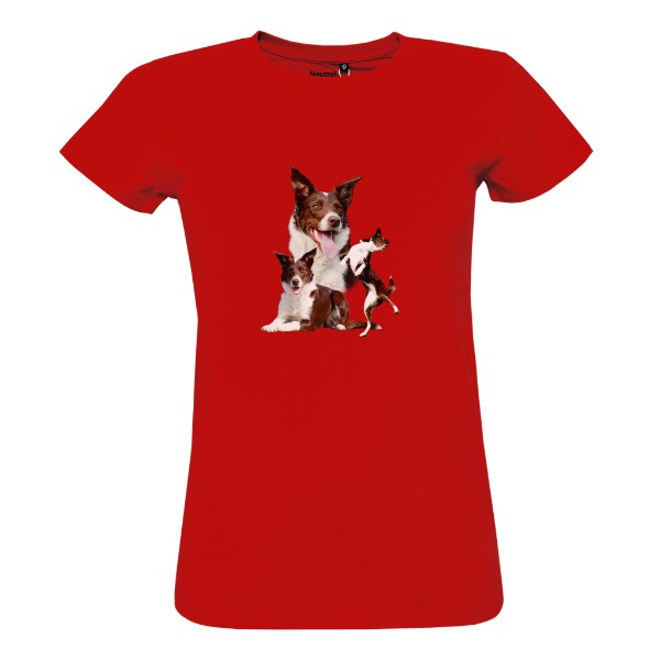 Tričko s potiskem Border kolie