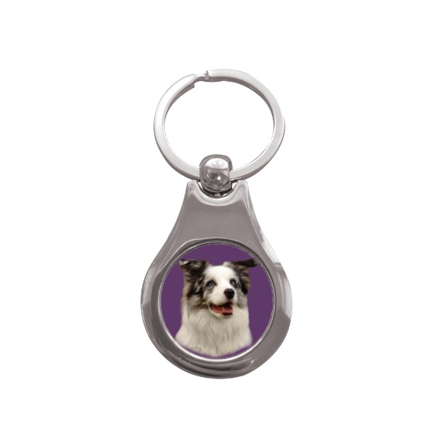 Přívěsek na klíče kolečko s potiskem Border kolie 