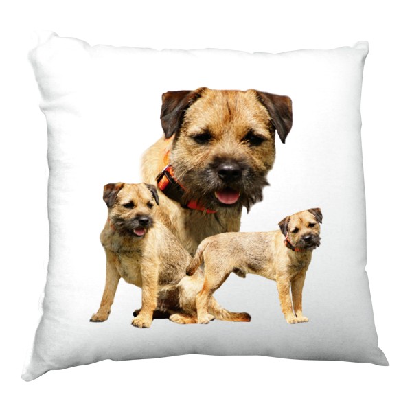 Polštář saténový s potiskem Border teriér 