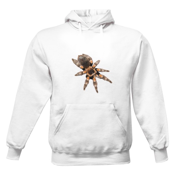 Pánská mikina s kapucí Just Hoods s potiskem Brachypelma hamorii (ex.smithi)