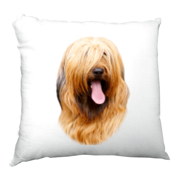 Polštář saténový s potiskem Briard