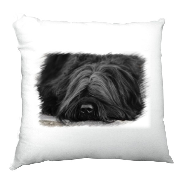 Polštář saténový s potiskem Briard