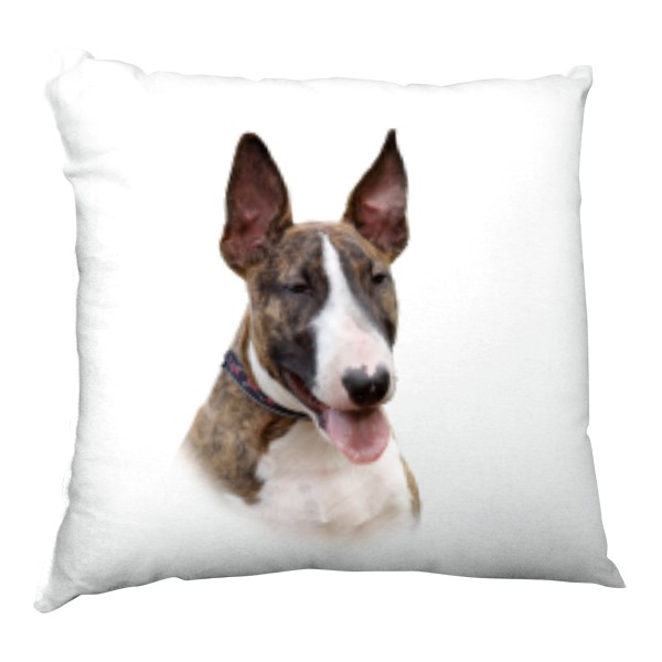 Polštář saténový s potiskem Bulteriér - štěně