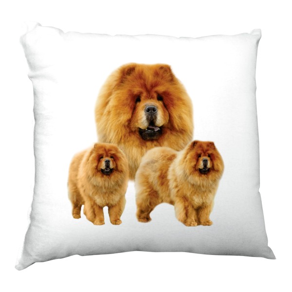 Polštář saténový s potiskem Čau Čau