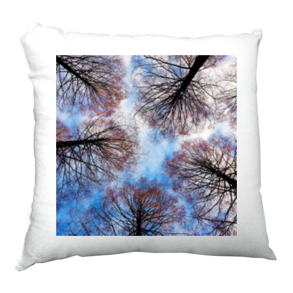 Polštář saténový s potiskem Stromy