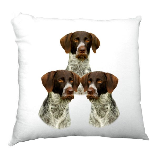 Polštář saténový s potiskem Český fousek