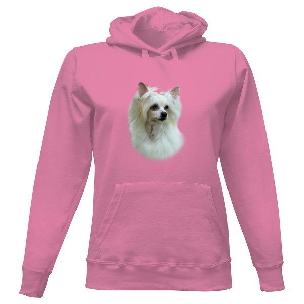Dámská mikina s kapucí s potiskem Čínský chocholatý pes-Labutěnka