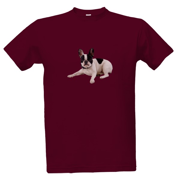 Francouzský buldoček