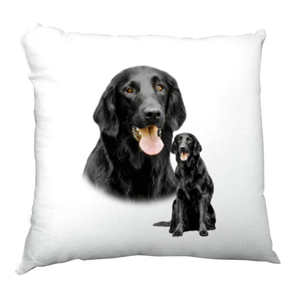 Polštář saténový s potiskem Flat Coated Retriever 