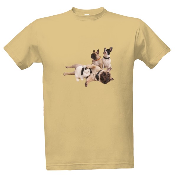 Francouzský buldoček