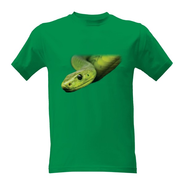 Tričko s potiskem Had