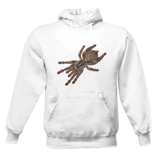 Pánská mikina s kapucí Just Hoods s potiskem Heteroscodra maculata