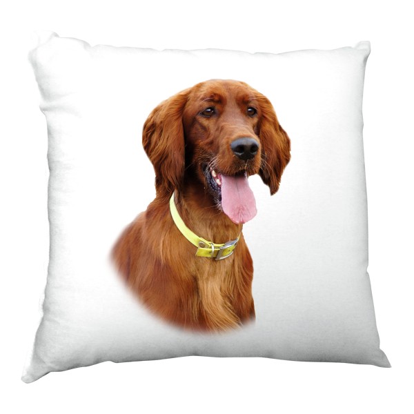 Polštář saténový s potiskem Irský setr