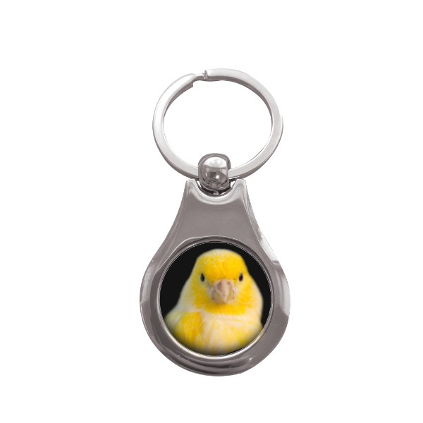 Přívěsek na klíče kolečko s potiskem Kanárek