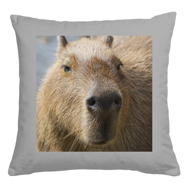 Polštář bavlněný  s potiskem Kapybara