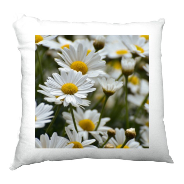 Polštář saténový s potiskem Kopretiny