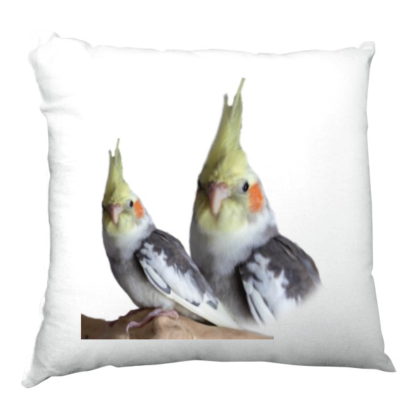 Polštář saténový s potiskem Korela chocholatá