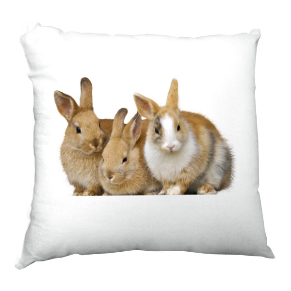 Polštář saténový s potiskem Králičci