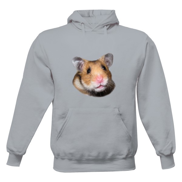 Pánská mikina s kapucí s potiskem Kreček