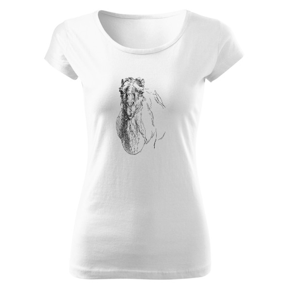 Tričko s potiskem Velbloud