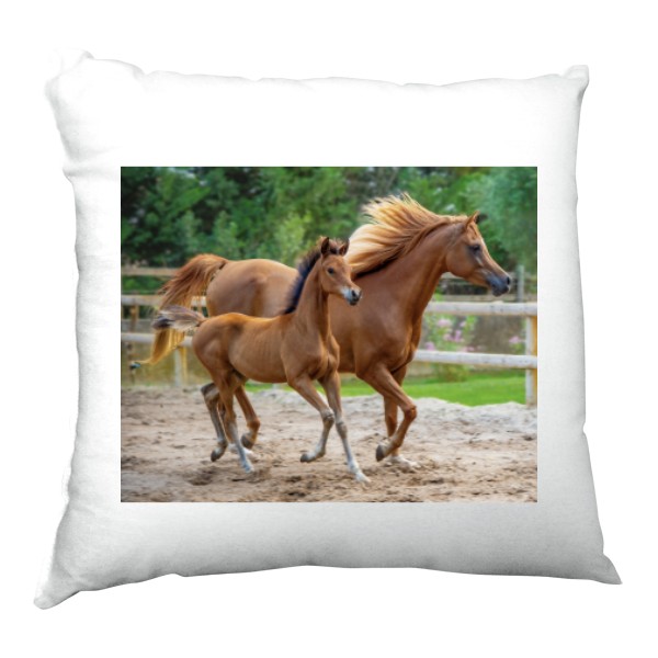 Polštář saténový s potiskem Koně