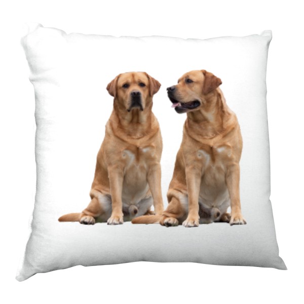 Polštář saténový s potiskem Labradorský retrívr