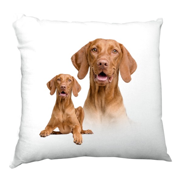 Polštář saténový s potiskem Maďarský ohař