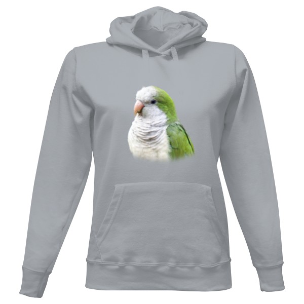 Dámská mikina s kapucí s potiskem Mníšek šedý