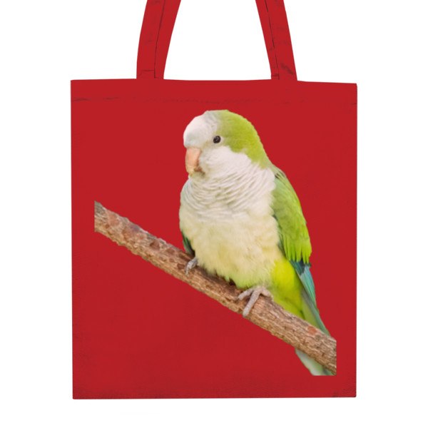 Nákupní taška unisex s potiskem Mníšek šedý