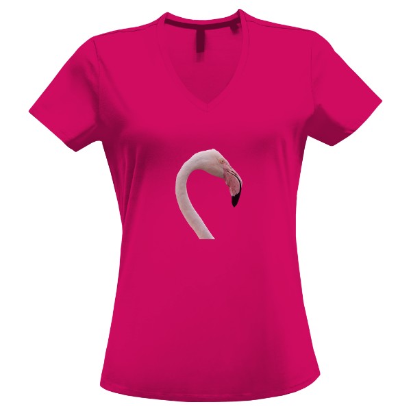 Tričko s potiskem Plameňák