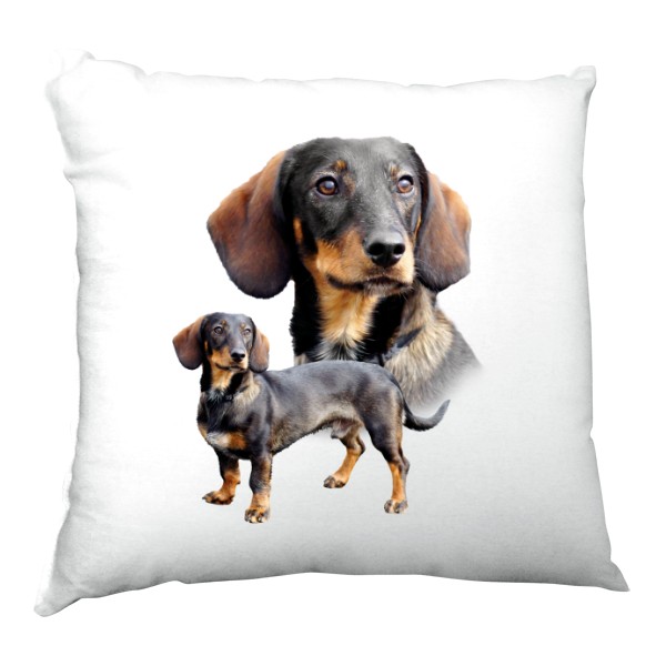 Polštář saténový s potiskem Jezevčík hladkosrstý