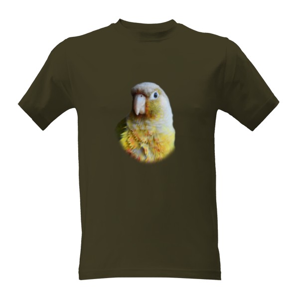 Tričko s potiskem Pyrura zelenolící