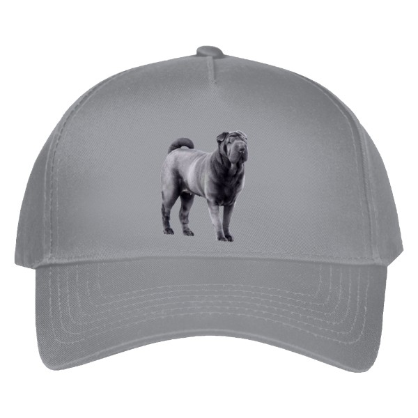 Kšiltovka s potiskem Šarpej