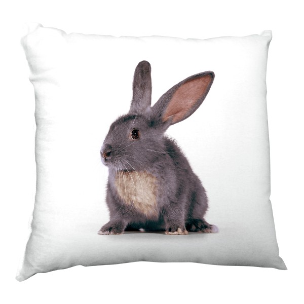 Polštář saténový s potiskem Králíček