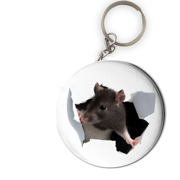 Srandovní Potkánek