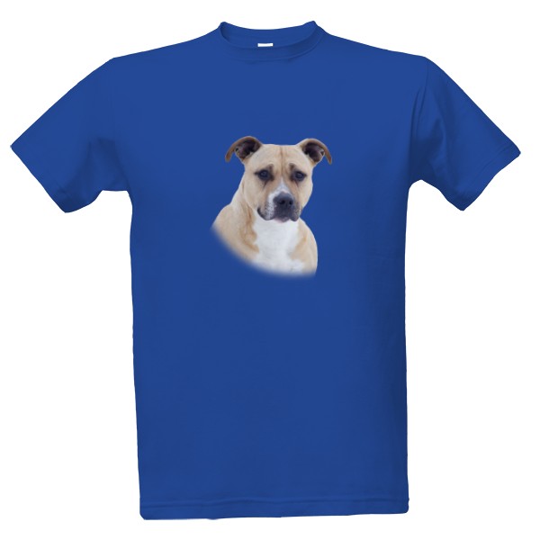 Tričko s potiskem Americký stafordšírský teriér 