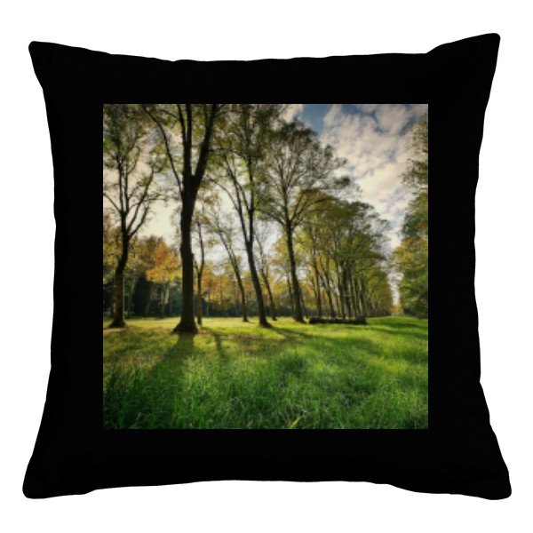 Polštář bavlněný  s potiskem Stromy