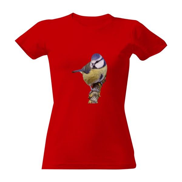 Tričko s potiskem Sýkora modřinka